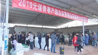 元謀蔬菜種業(yè)博覽會 拓展交流打造綠色食品牌，文化藝術(shù)交流活動增添新活力