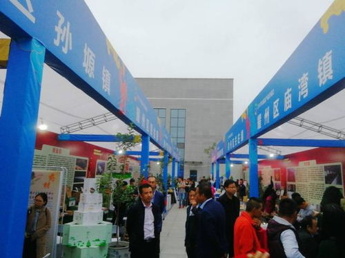 扶貧產品交流會暨文化藝術展演即將盛大啟幕，千余種特色產品匯聚一堂